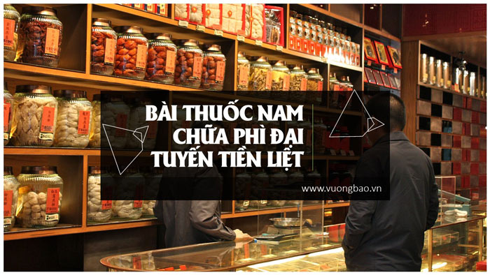 Top 5 bài thuốc điều trị phì đại tuyến tiền liệt hiệu quả