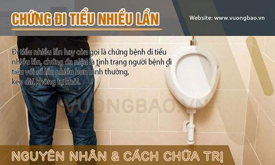 Đi tiểu nhiều lần là bệnh gì? Triệu chứng & cách chữa trị