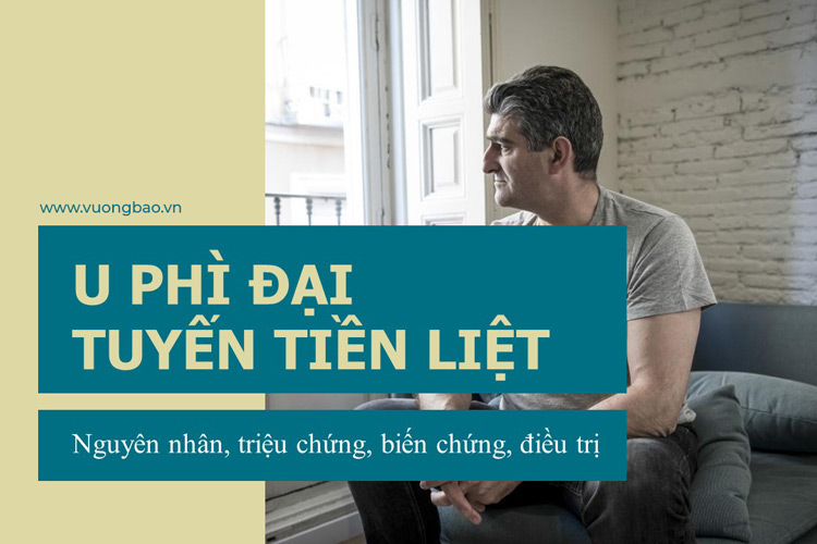 Bệnh u phì đại lành tính tuyến tiền liệt