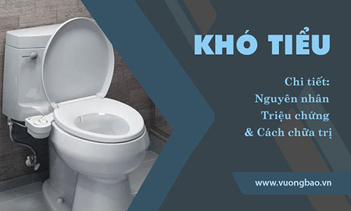 Khó tiểu (tiểu khó) là bệnh gì? Triệu chứng, nguy hiểm không?