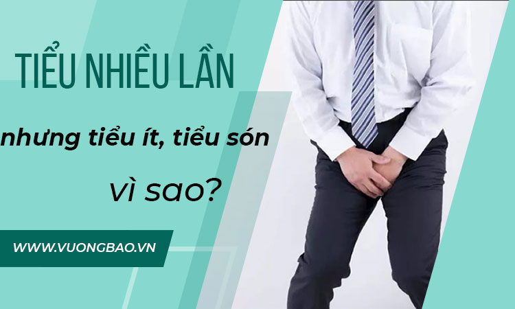 Đi tiểu nhiều lần nhưng nước tiểu ít là do đâu? Cách khắc phục