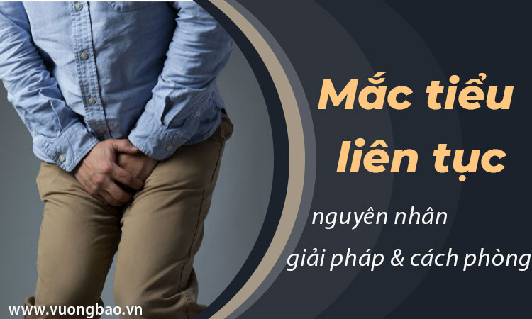 Mắc tiểu liên tục: Nguyên nhân, giải pháp và cách điều trị