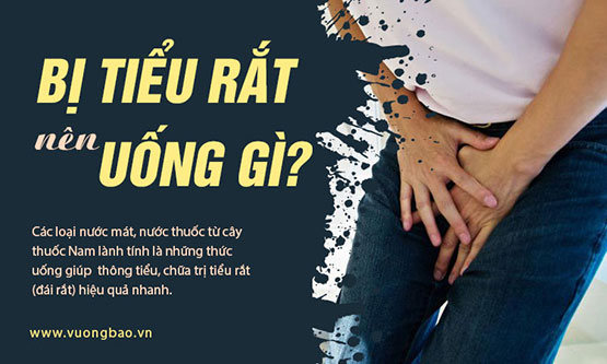 Bị tiểu rắt nên uống gì? Các loại đồ uống giúp giảm tiểu rắt