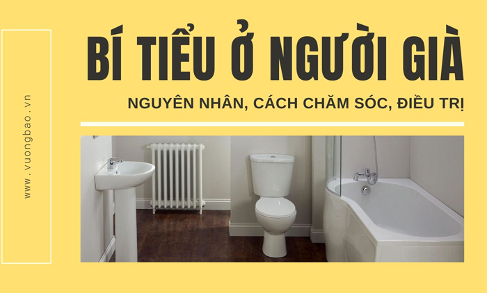 Bí tiểu ở người già: Triệu chứng và cách điều trị nhanh chóng