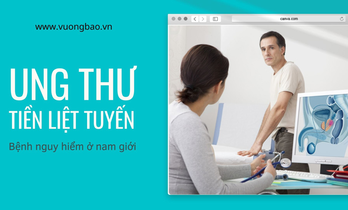 Ung thư tiền liệt tuyến: Triệu chứng, phòng ngừa, cách điều trị