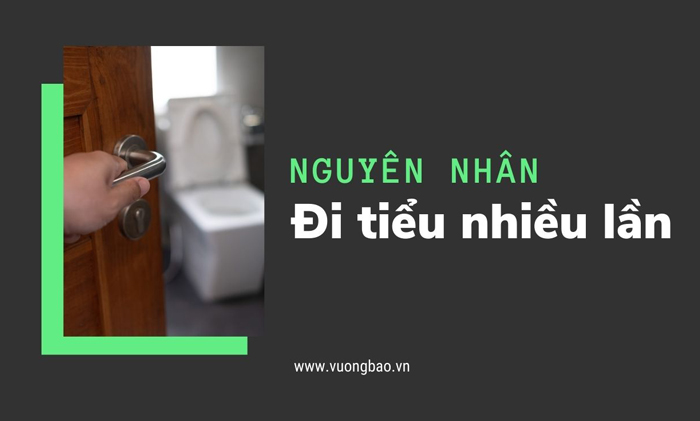 Đi tiểu nhiều lần trong ngày - Nguyên nhân do đâu?