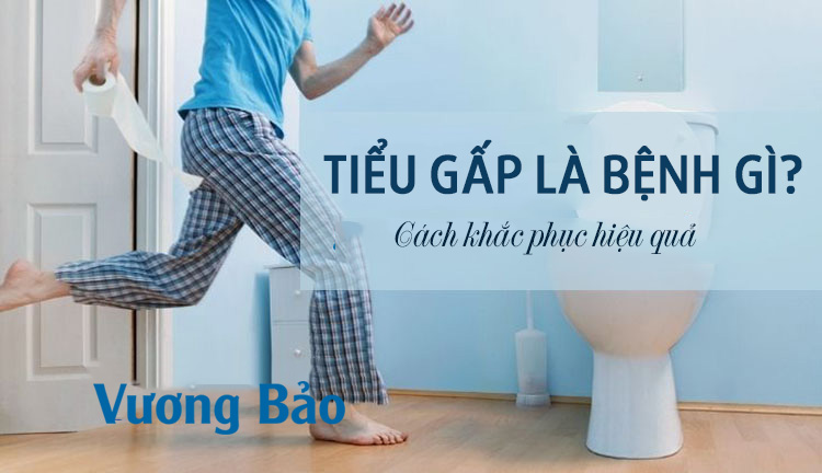 Tiểu gấp là bệnh gì? Nguyên nhân, triệu chứng và cách trị