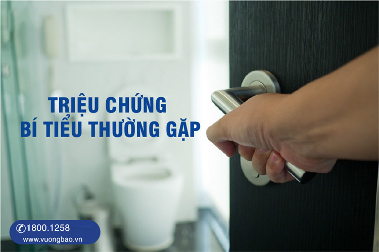 Điểm danh dấu hiệu bí tiểu bạn chớ bỏ qua