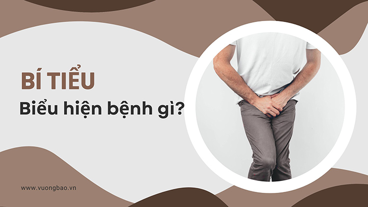 Bí tiểu là biểu hiện của bệnh gì?