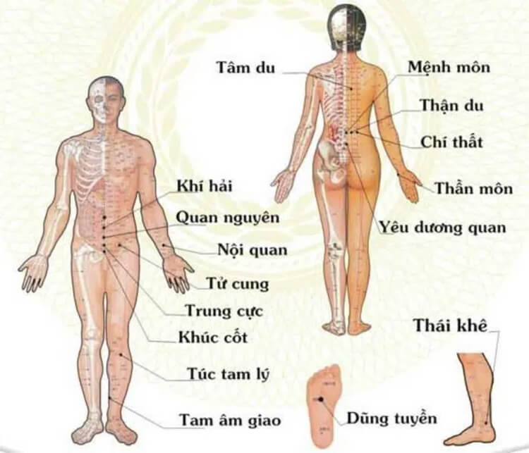 Bấm huyệt chữa tiểu đêm