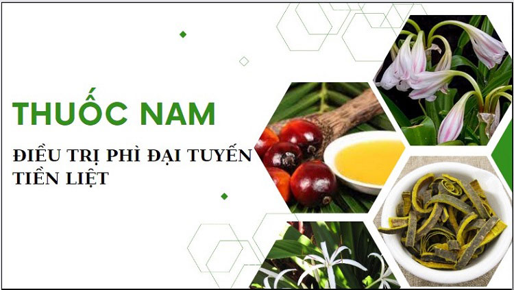 Thuốc nam điều trị phì đại tuyến tiền liệt